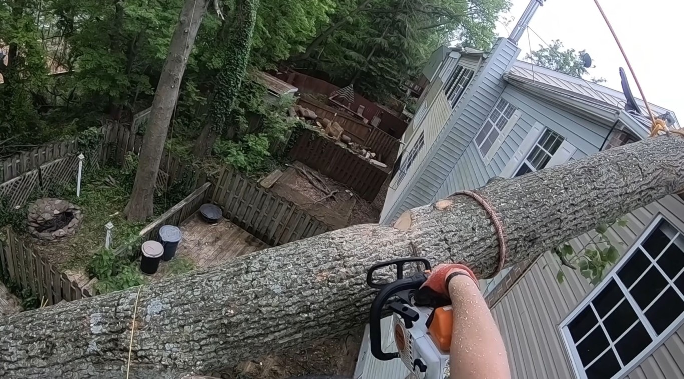 Tree cabling and structural support services in Napa, CA